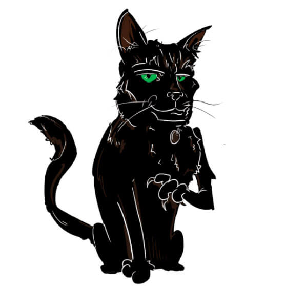 Draw My Pet!!